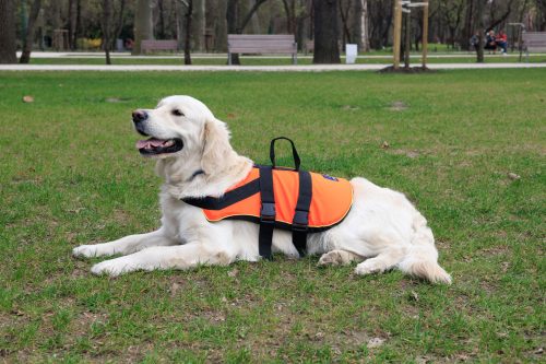 Navyline mentőmellény kutyáknak (8-15 kg)