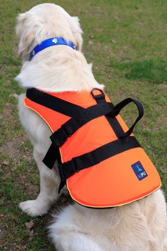 Navyline mentőmellény kutyáknak (40+ kg)
